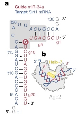 1591254053582410.jpg 2020052811292666.jpg