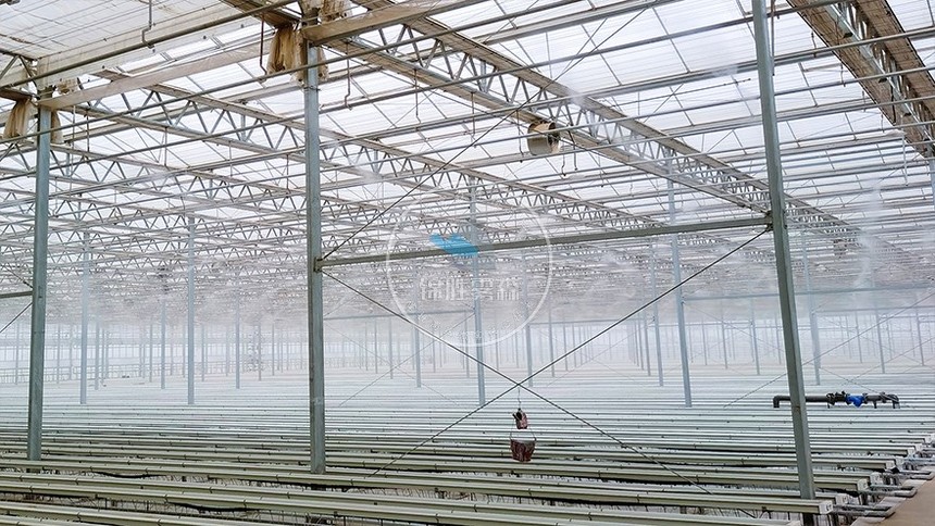 甘肃兰州新区现代博览园温室大棚雾森降温（加湿）案例（2）.jpg