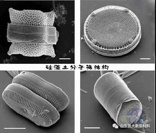 ΢��ͼƬ_20200928113827.jpg