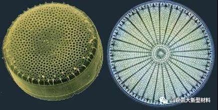 ΢��ͼƬ_20200928141849.jpg