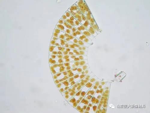΢��ͼƬ_20200929085015.jpg