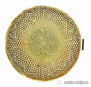 ΢��ͼƬ_20200929085054.jpg