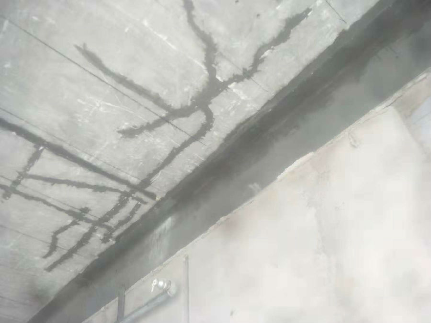 DƬ1.png