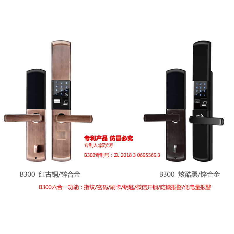 16 B300 ͭ (пϽ).jpg