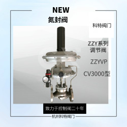 氮封閥CV3000