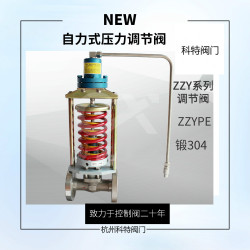 自力式壓力調節閥ZZYPE