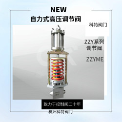 自力式壓力調節閥ZZYME
