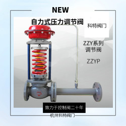 自力式壓力調節閥ZZVP