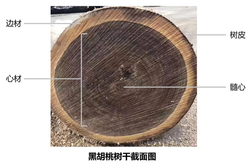 1786436205223318.png image.png