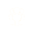 標(biāo)題