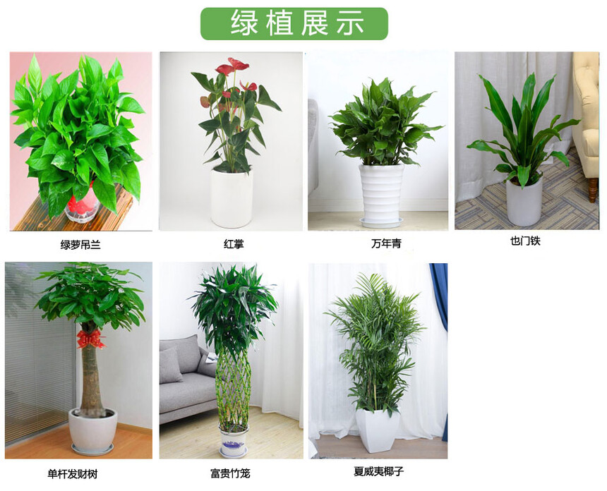 qiyemde98cba49-ad41-963f-ded9-ba1c129667dc.jpg