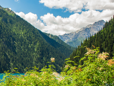 1747019492672318.png 6.png