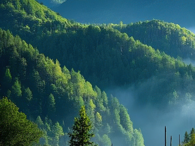 1747020132686880.png 7.png