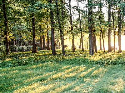 1747118278668623.png 1.png