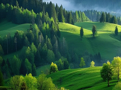 1747205647792093.png 11.png