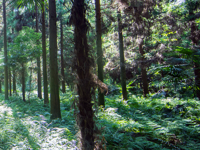 1747378733385073.png 26.png