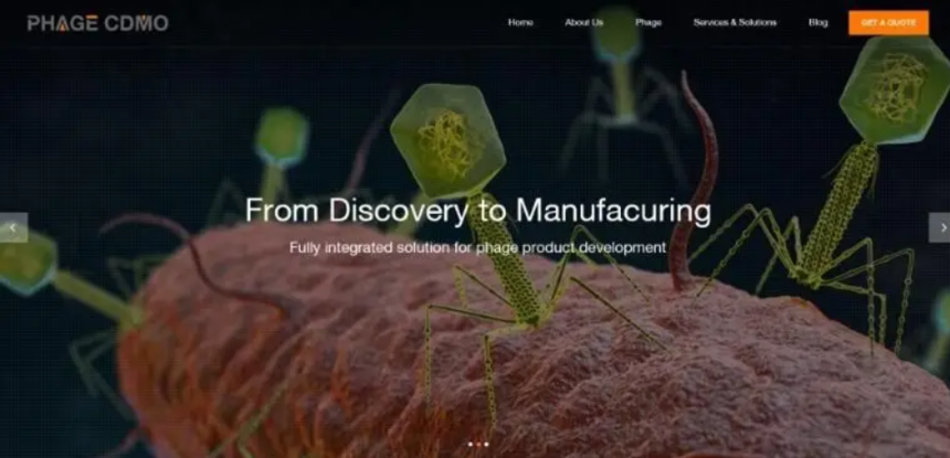 ��Ļ��ͼ 2024-09-25 115853.png