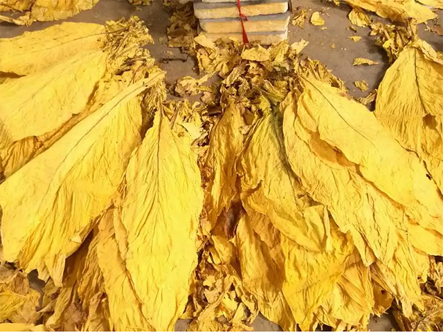 ҵ΢Žͼ_20220513102459.png