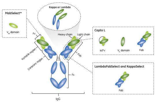 ��������滷��