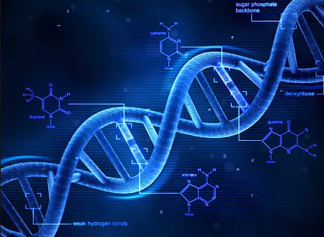 ABCAM������ϸ�����Ӿ���ʲô�����ص��أ�