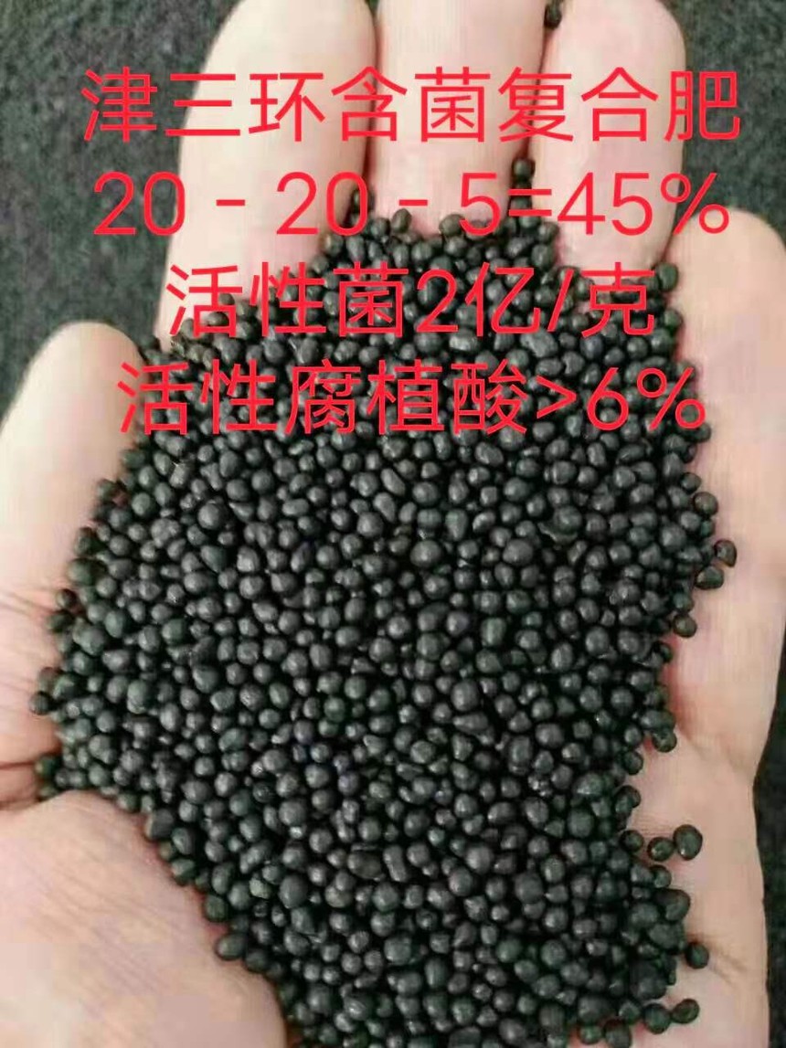 028734b8be9d6d66d9d18a4b4c84f0a.jpg
