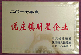 明星企業(yè)
