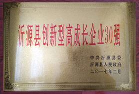 高成長(zhǎng)企業(yè)30強(qiáng)