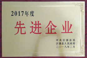 2017年度先進(jìn)企業(yè)