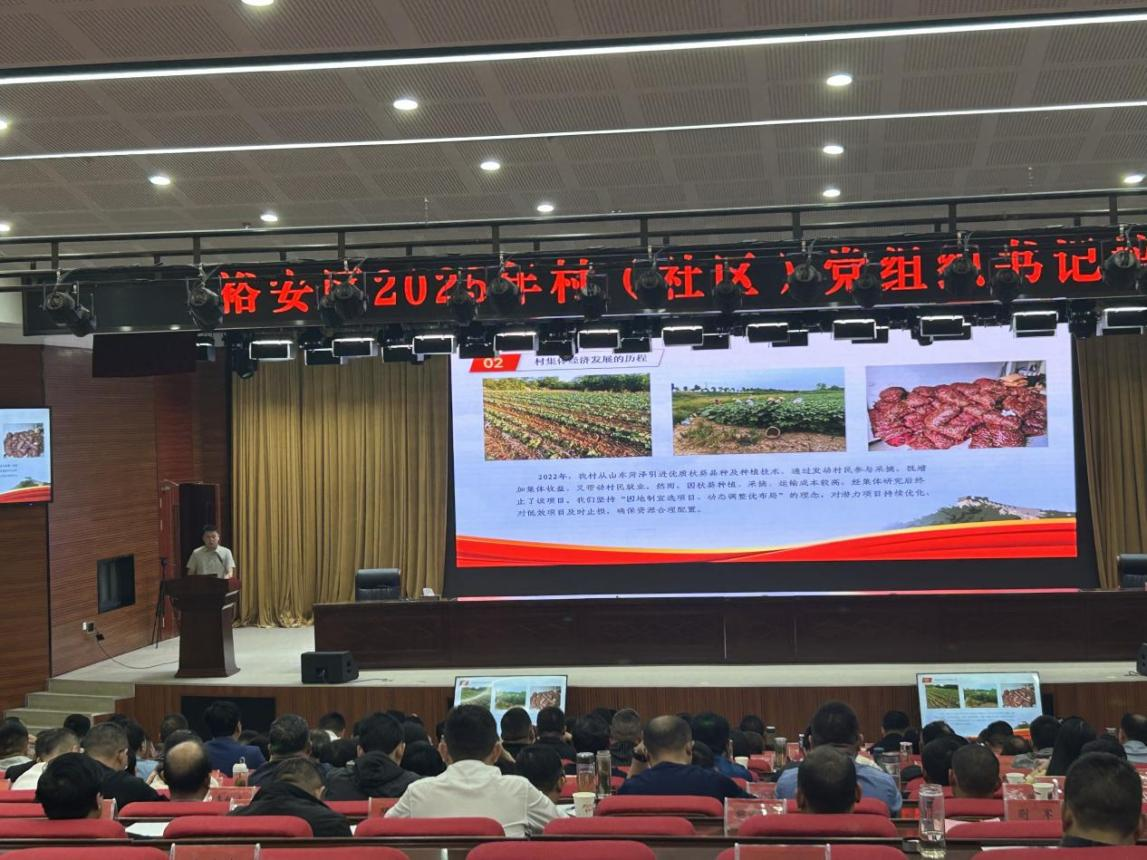 1744718469831810.png 图片8.png