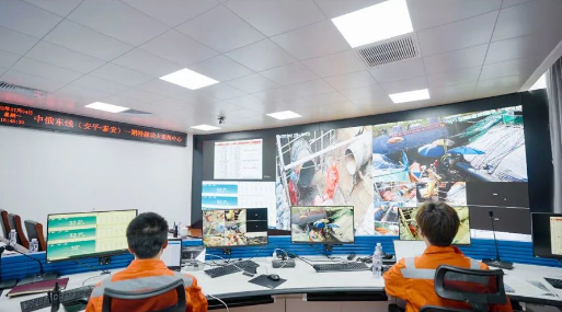 1657506559740875.png 1657506559740875.png