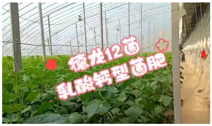 148758c372474d3768b9ae12d26f68f.png