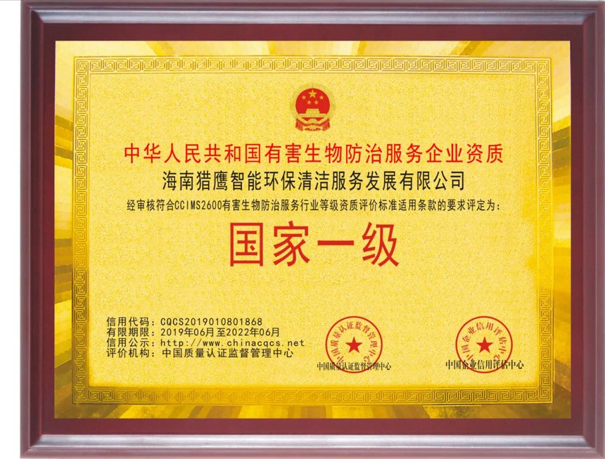1593050095624730.jpg
