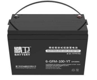 6-GFM-YTϵ