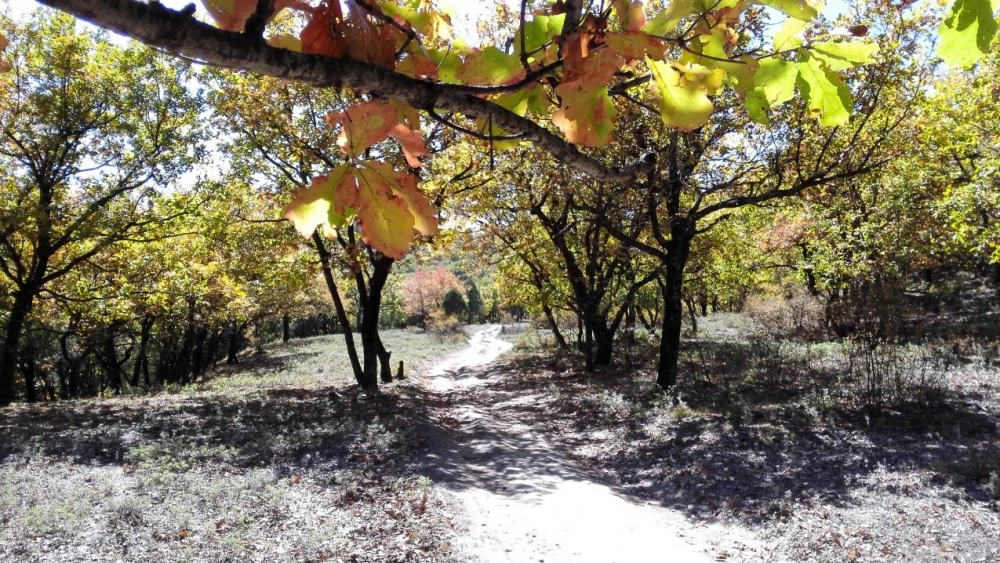 �����ݡ������Զ�����Զ��·���ζ������� | ֱ����ɣ֮һ��������ֱ��