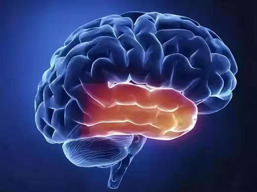 ΢ňDƬ_20210129102341.jpg