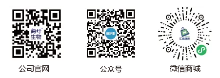 ΢ňDƬ_20240612093954.png