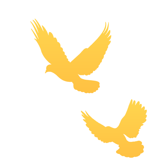 1762397915245535.gif 22.gif