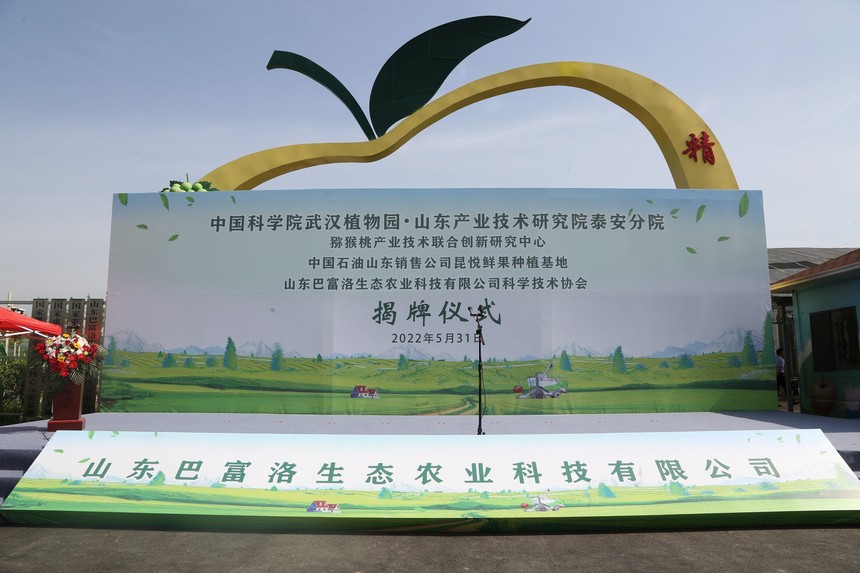CP3A9732.JPG
