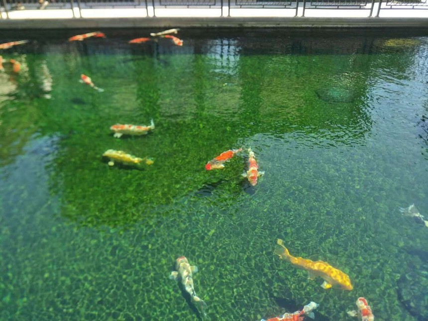 Դˮ