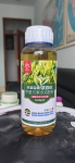 茶百旺