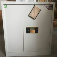 電子密碼單節(jié)柜