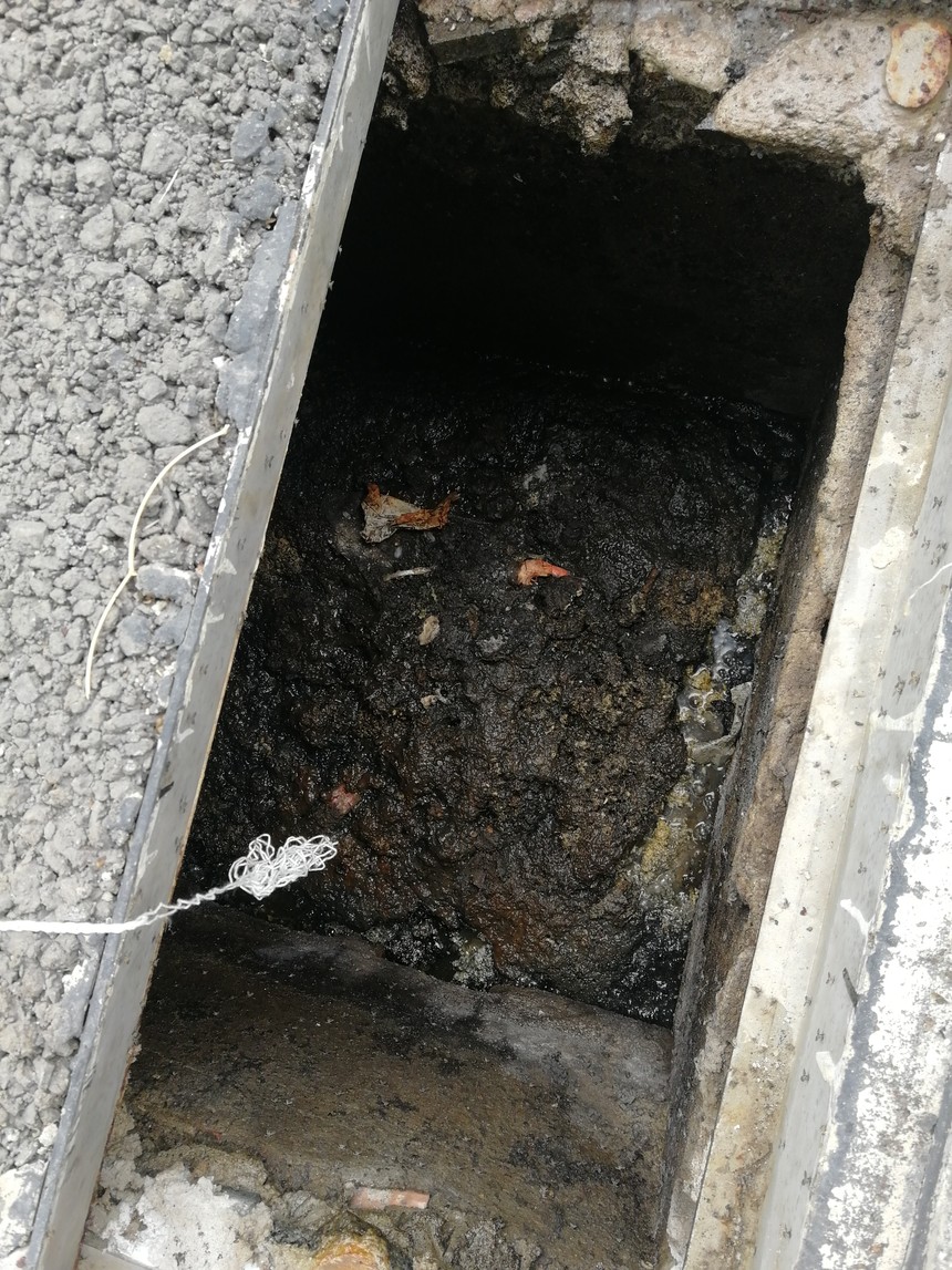 ���ͳ�����