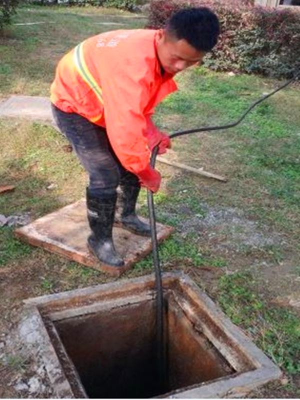 ���ͳ�����