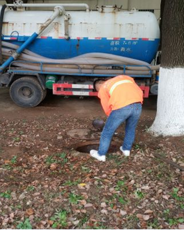 ���ͳ�����