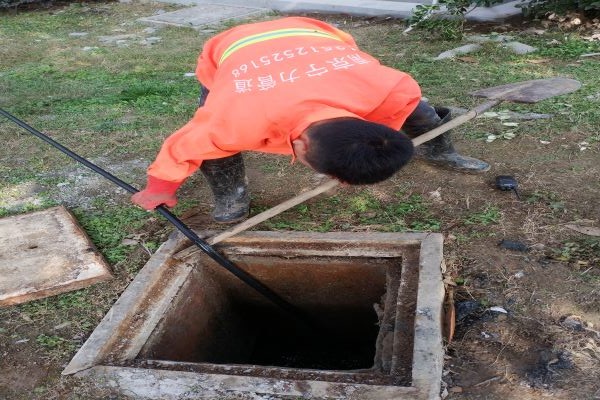 ���ͳ�����