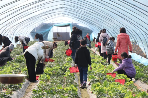 巾帼绽芳华 康缘开展女神节游园会主题活动