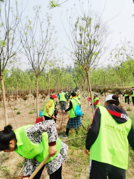 “绿色成长力量—安然与社会共成长（石家庄站）”植树节活动成功举办