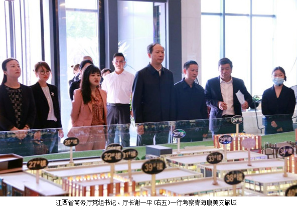 江西省商务厅厅长谢一平考察青海康美文旅城插图