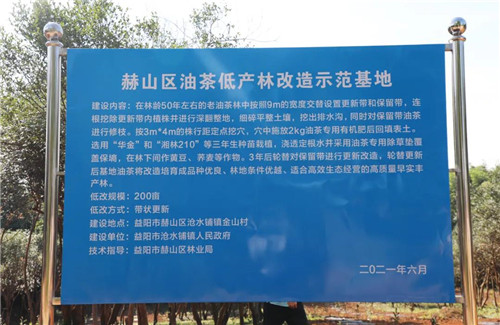 绿之韵荣获“湖南省林业产业化龙头企业”称号