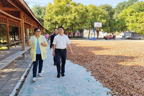 1631524130817989.jpg 105.jpg